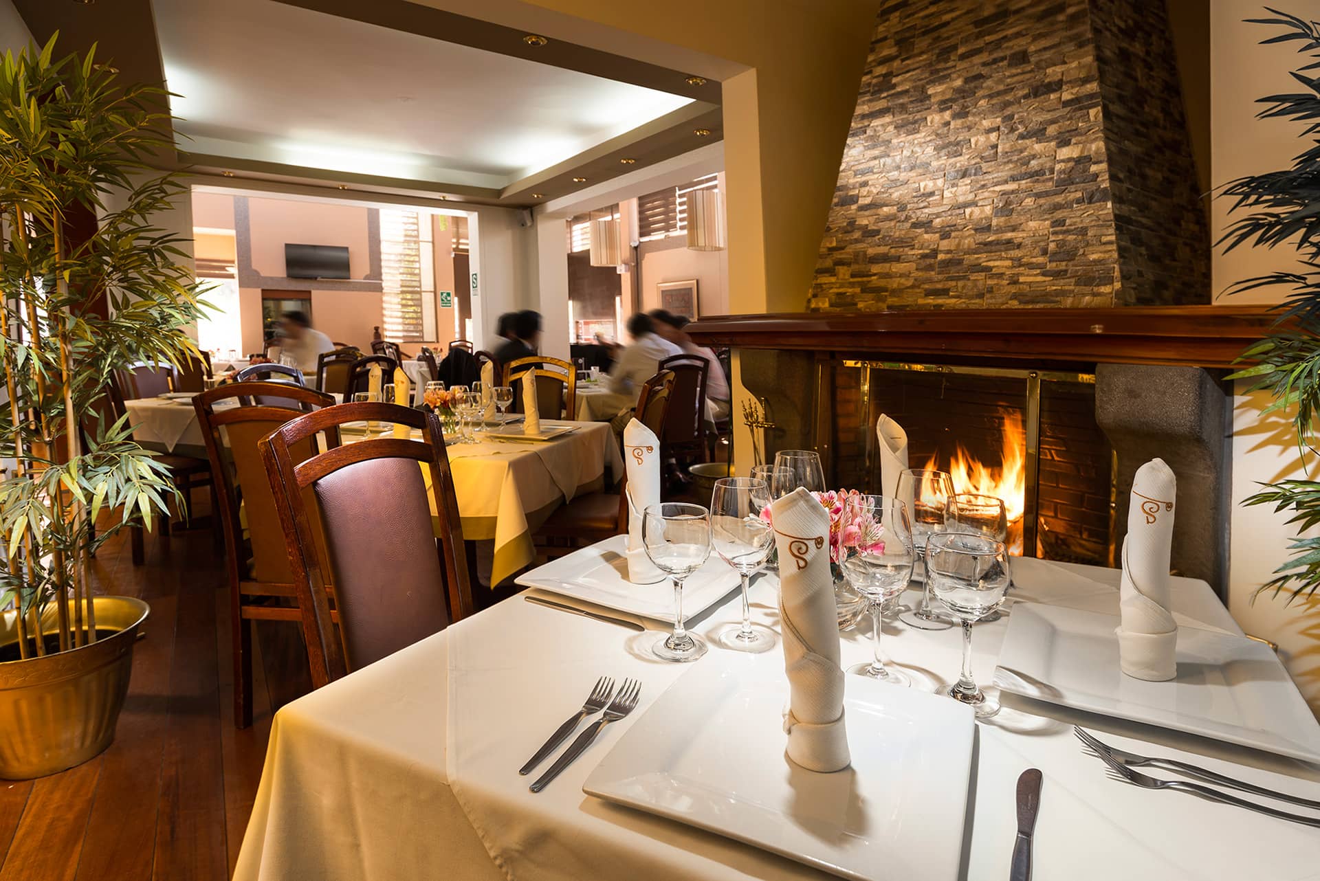 Ambiente Sambambaia's 1